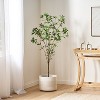 NicBex Artificial Tree Faux Plants 5FT Artificial Pieris Tree Indoor with Wood Trunk, Room Decor for Home, Porch - 3 of 4