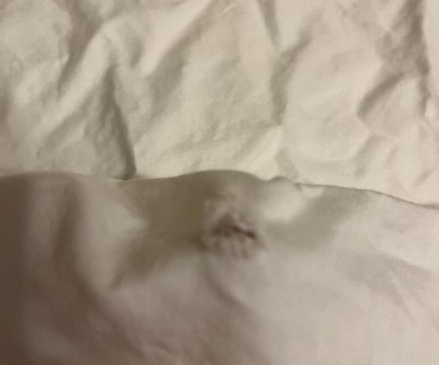 Guest review image 1 of 1, zoom in