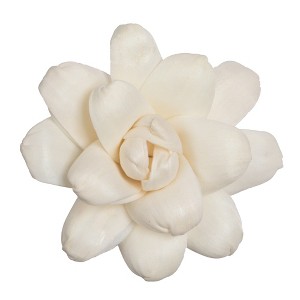 Vickerman 1-3" Natural Botanicals Assorted Natural Dried Sola Flower Head - 1 of 3
