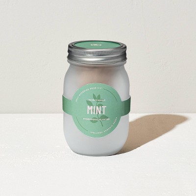 Modern Sprout Pint Jars Herb Garden Seed Kits - Mint