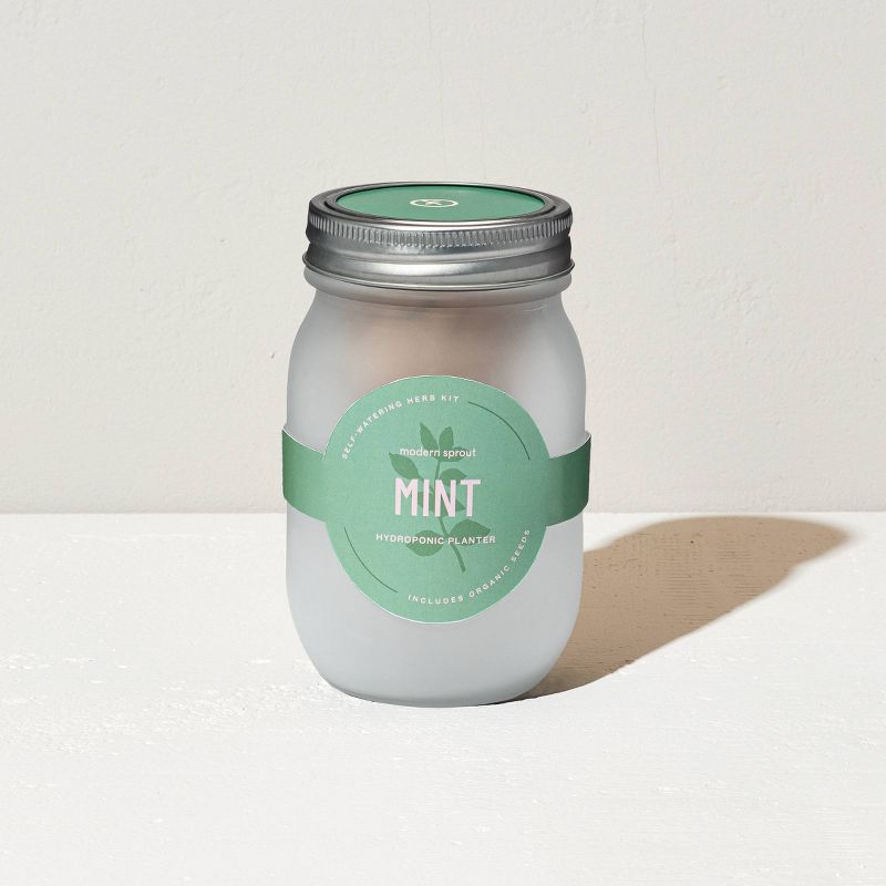 target.com | Modern Sprout Pint Jars Herb Garden Seed Kits - Mint