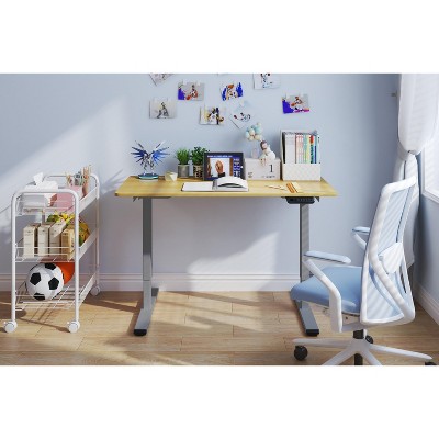 NicBex 47.24 Inch Electric Standing Desk,Dual Motor Adjustable Height Home Office Desk with Gray Frame for Bedroom,Living Study Room