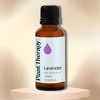 Plant Therapy Pure Essential Oil | Lavender oil is ultra-versatile and loaded with benefits. - Lavander / (1 oz) - 2 of 2