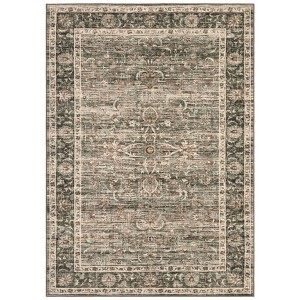 Coolmee Washable Area Rugs Vintage Retro Boho Rug Non Slip Low Pile for Living Room Bedroom Indoor Dining Room  s Room and OfficeGray - 1 of 4