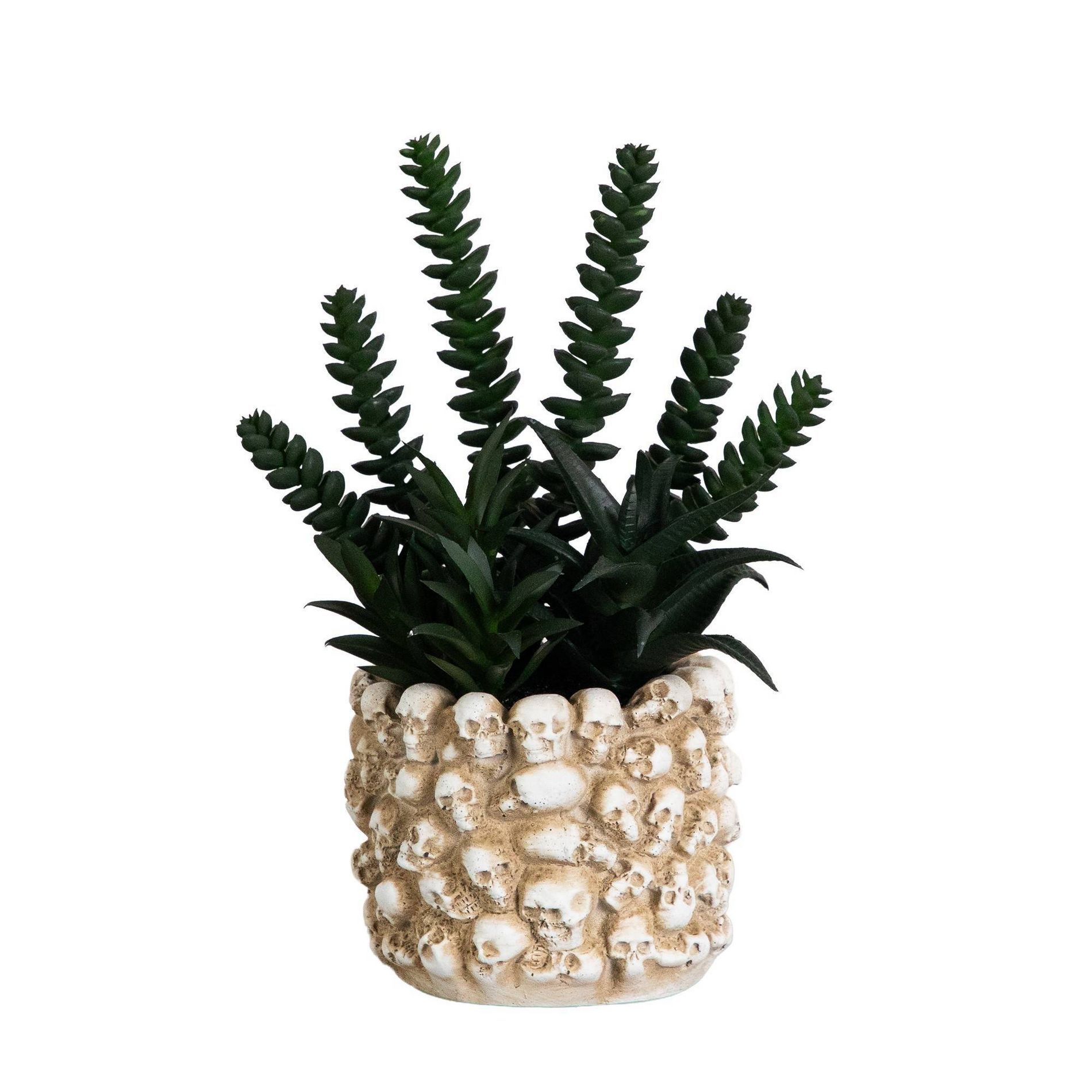 Nearly Natural 9" Artificial Halloween Succulent Garden in Gothic Skull Planter