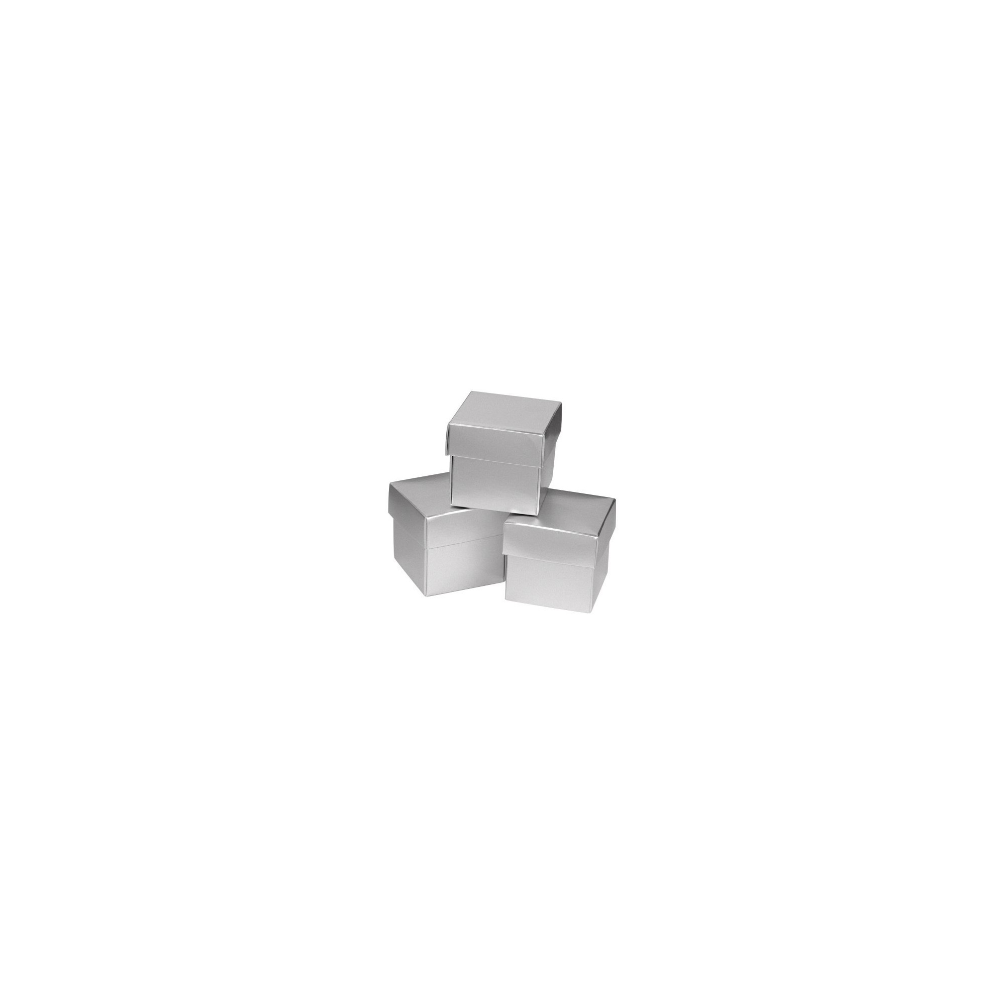 25ct Silver Shimmer Wedding Favor Box