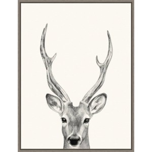 18" x 24" Animal Mug IV Deer by Victoria Borges Framed Canvas Wall Art Gray - Amanti Art: Contemporary Deer Head Portrait - 1 of 4