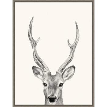 18" x 24" Animal Mug IV Deer by Victoria Borges Framed Canvas Wall Art Gray - Amanti Art