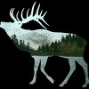 Men's Design By Humans ELK NATURE LANDSCAPE SCENERY By punsalan T-Shirt - 2 of 2