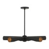 Livex Lighting Novato 5 - Light Chandelier in  Black - 3 of 4