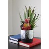 Northlight 15" Succulents and Agave Artificial Potted Plant - Green/Red - 4 of 4