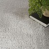 Nourison Plush Shag Indoor Rug - 3 of 4