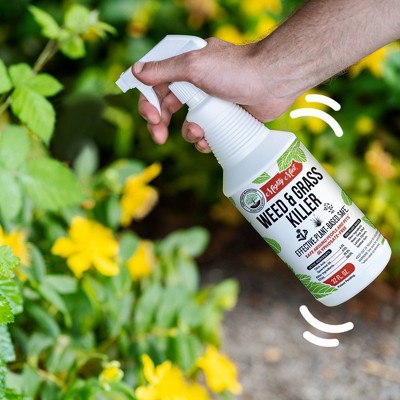 Mighty Mint 31oz Outdoor Weed and Grass Killer_3