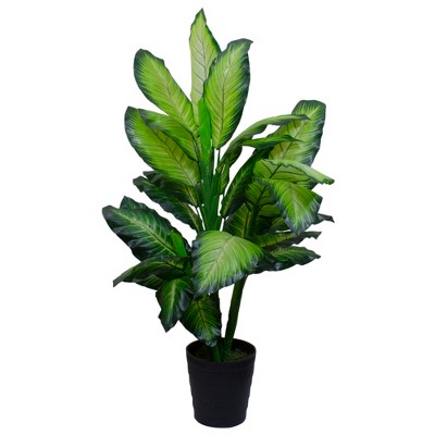 Northlight 50" Artificial Wide Leaf Green Dieffenbachia Potted Plant