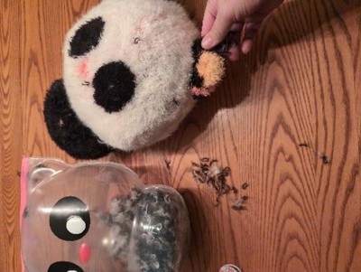 Fluffie Stuffiez Panda Small Collectible Feature Plush - Surprise Reveal  Unboxing with Huggable ASMR Fidget DIY Fur Pulling, Ultra Soft Fluff