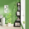 KTMBDW 5 Tier Bookshelf, Bookcase with Open Storage, Modern Tall Bookshelves Organizer, Floor Standing Book Shelf for Bedroom, Living Room,Home Office - 3 of 4