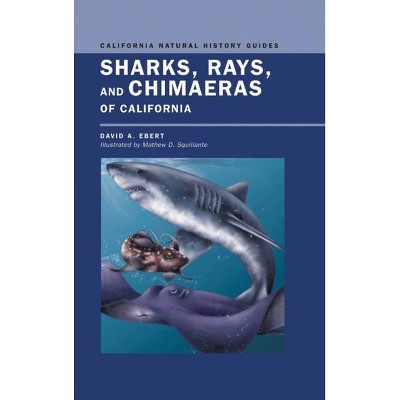 Sharks, Rays, and Chimaeras of California, 71 - (California Natural History Guides) by  David Ebert (Paperback)