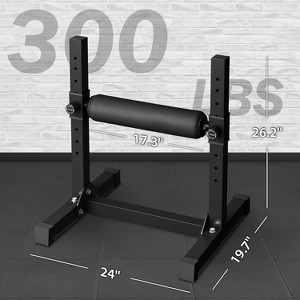 Bulgarian Split Squat Stand, Single Leg Squat Roller, Single Leg Squat Stand, Lower Body Specialty Machine - 1 of 4