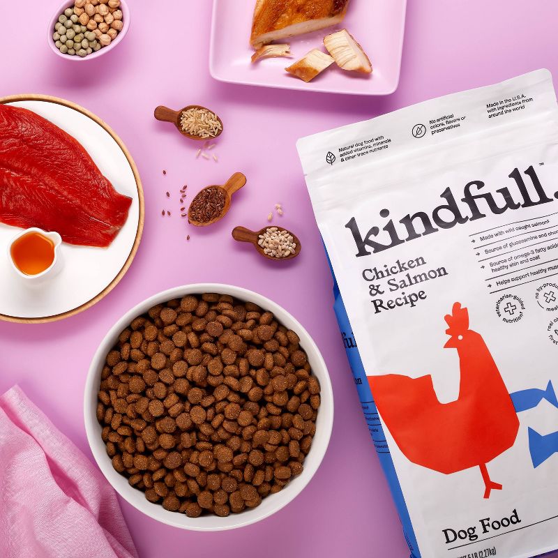 Chicken and Salmon Recipe Dry Dog Food - Kindfull™, 3 of 6