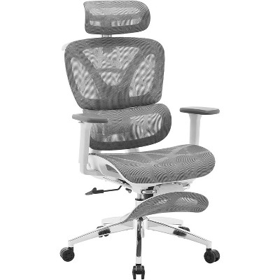 Acekool Ergonomic Office Chair