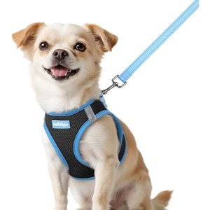 rabbitgoo Dog Harness Small Sized and Leash Set, Reflective Puppy Vest for Small Dogs, Black & Light Blue, XXS - 1 of 1