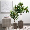 Sullivans Artificial 41" Lemon Tree, Green - 3 of 4
