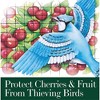 Gardeneer By Dalen Bird-X Protective Netting 28' x 28' (1 Pack) - 2 of 4