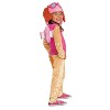 Toddler's Paw Patrol Skye Classic Costume Jumpsuit - Pink - 2T - 2 of 4