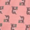 koala pink