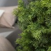 3-5FT Artificial Cedar Topiary Trees for Indoor and Outdoor UV Protection Fake Trees for Home Decor Set of 2 - 3 of 4