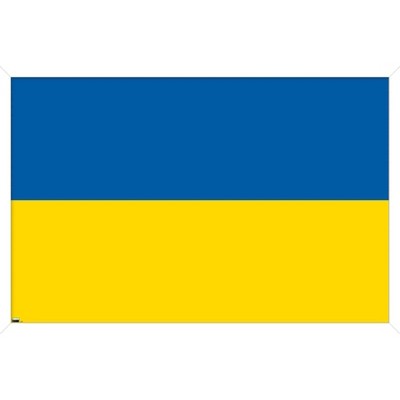 Trends International Ukrainian Flag Framed Wall Poster Prints White ...