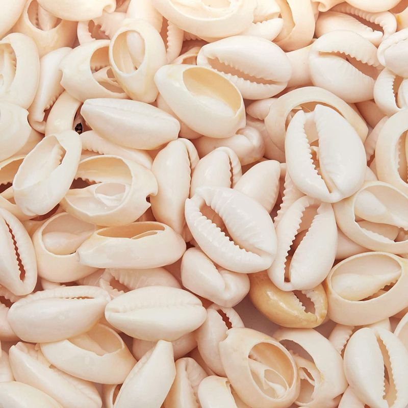 Juvale Cowrie Sea Shells for Jewelry Making, DIY Crafts (150 Count), 1 of 6