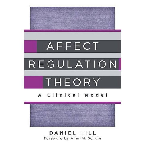 Affect Regulation Theory Norton Interpersonal Neurobiology By Daniel Hill Hardcover - 