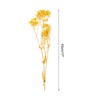 Unique Bargains Natural Dried Baby's Breath Flowers Branches for Wedding Party Decoration Yellow 1 Pc - 2 of 4