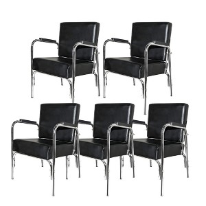 PureSana 5 Pack Chromium Ella Professional Auto Reclining Shampoo Chair with Washable Vinyl, High Density Foam Cushions, and Stainless Steel Frame - 1 of 4