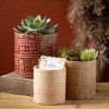 Sullivans 5", 5.5" & 6.25" Aztec Tribal Pattern Pot Set of 3, Multicolored - 3 of 4