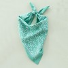 Daydream Society - Yeehaw Horseshoe Bandana - Pack of 1 Cotton Bandana - 2 of 3
