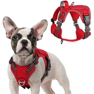 rabbitgoo Tactical Dog Harness for Small Dogs,  Vest with Handle & Molle, Easy Control for Training Walking, Adjustable Reflective Straps, Red, S