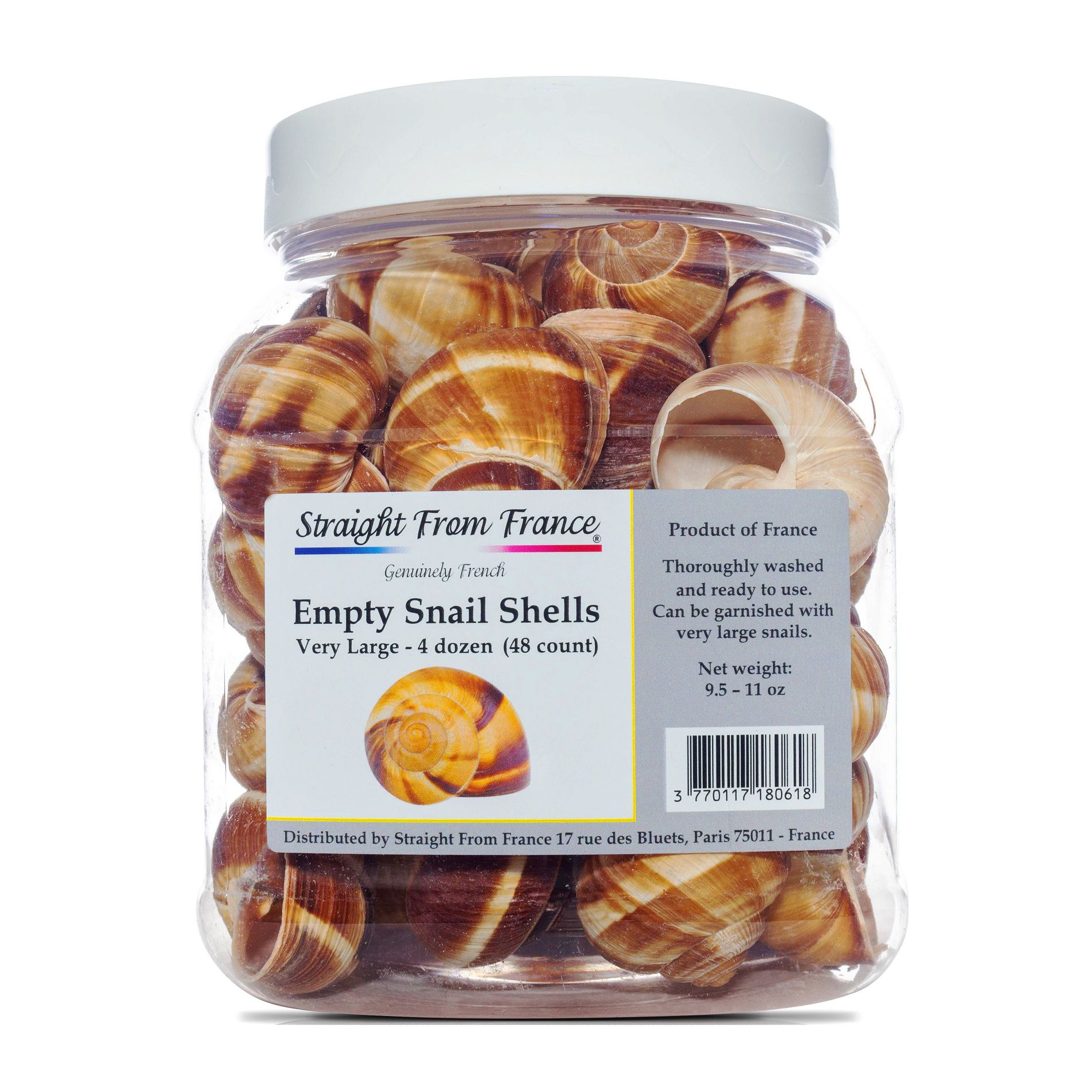 Straight from France Empty Escargot Snail Shells, Ideal to Present Escargots Dishes or Use in Crafts and Aquariums 48 Ct