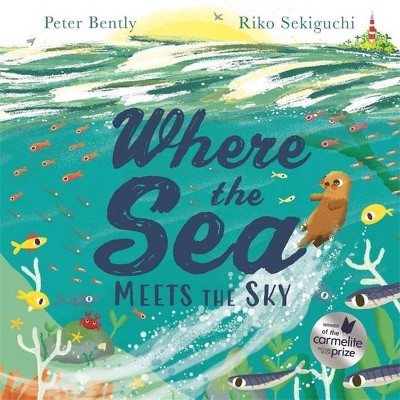 Where the Sea Meets the Sky - by  Peter Bently (Paperback)