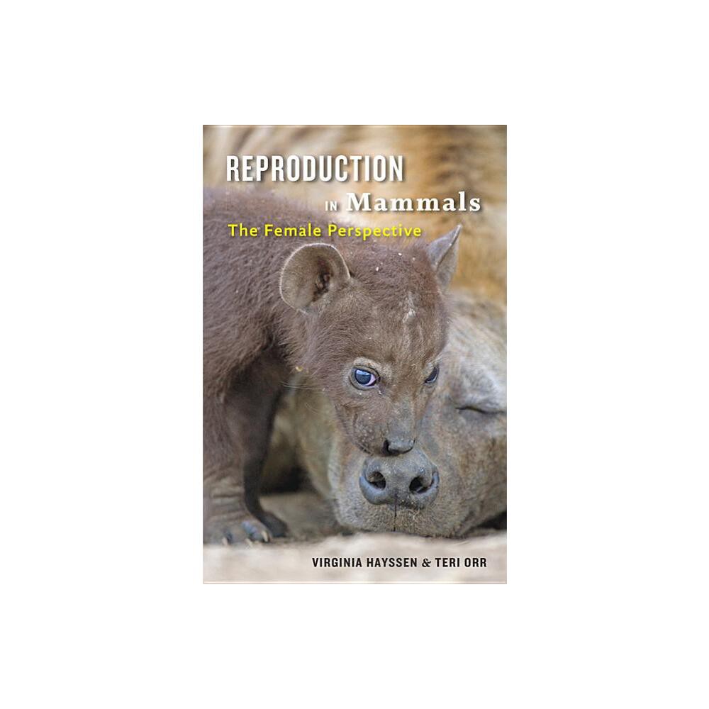 ISBN 9781421423159 product image for Reproduction in Mammals - by Virginia Hayssen & Teri J Orr (Hardcover) | upcitemdb.com