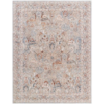 Mark & Day Qasim 2'7"x7'3" Runner Woven Indoor Area Rugs Beige/Teal: Stain-Resistant, Pet Friendly, Modern Damask Pattern