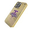 Keyscaper WWE Steel Bling Cell Phone Case for iPhone 16 Pro - 2 of 4