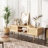 Angel Sar Rattan TV Stand for TVs up to 60 inches, Boho Media Entertainment Center with 2 Movable Doors - 3 of 4