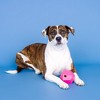 PetShop by Fringe Studio Having A Ball Dog Treat Dispenser Toy - Pink - 3 of 4