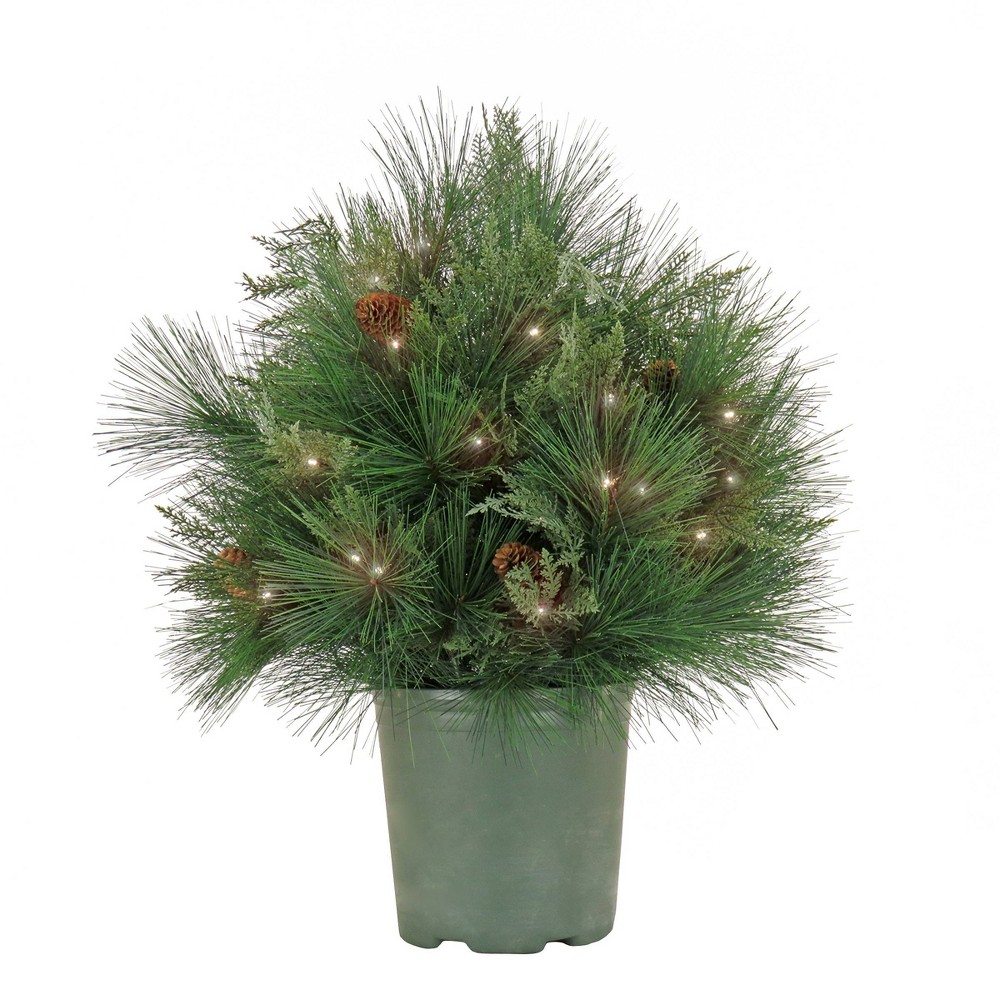 HGTV 26" Pre-lit Black Tie Mixed Pine Christmas Artificial Pot Filler Warm White LED Lights: Indoor/Outdoor, Battery Required