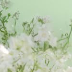 light green