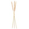 Vickerman 34" Artificial Design Polynesian Stem, 3 per bag - 4 of 4