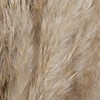 Vickerman 46" Dried Pampas Grass - 4 of 4