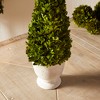 Plum & Post Boxwood Cone Topiary In Pot - 4 of 4